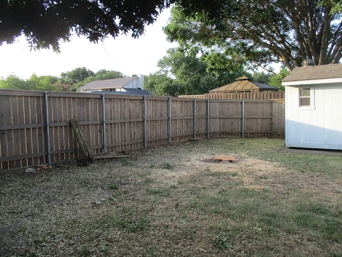 Cleared yard after professional tree removal in Trevorton